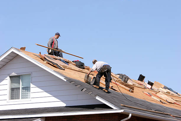 Best Asphalt Shingle Roofing  in Walnut Grove, GA